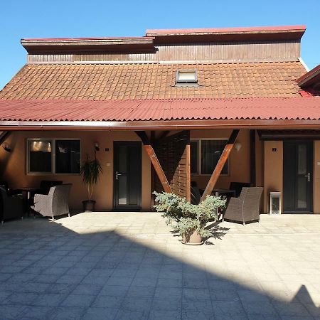 Irina Apartments Timişoara Exterior foto