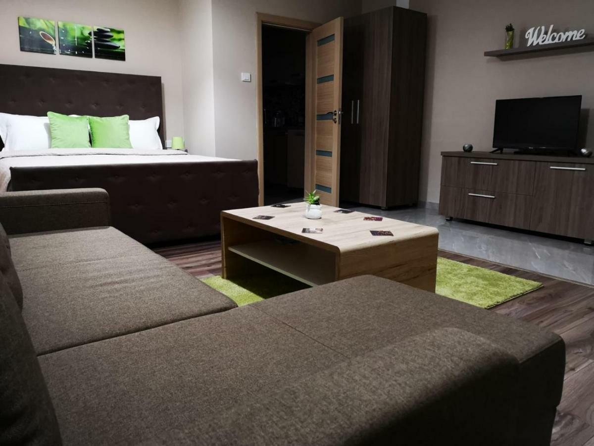 Irina Apartments Timişoara Exterior foto